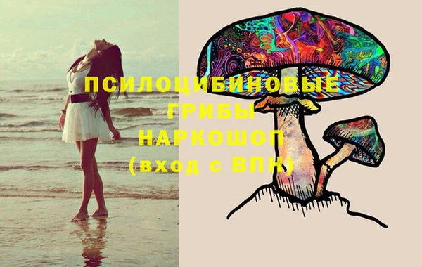 синтетический гашиш Алексин
