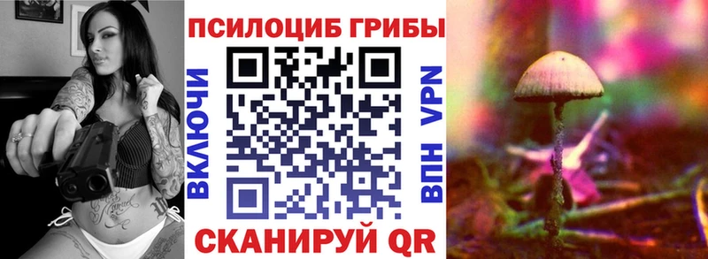 Псилоцибиновые грибы мухоморы Купить закладки Темников