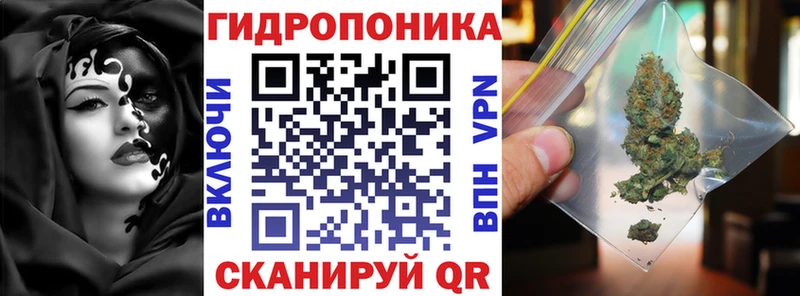 Бошки Шишки THC 21%  Купить где  Темников 